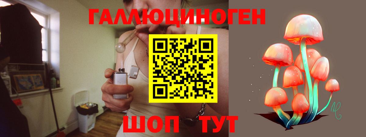 Псилоцибиновые грибы Psilocybe Балаково